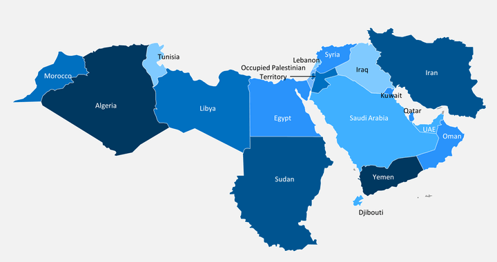 mena Area insurance